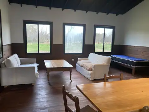 Chacra alquiler 9,5 hectáreas 24 boxes casa Ruta 6 OPEN DOOR LUJAN