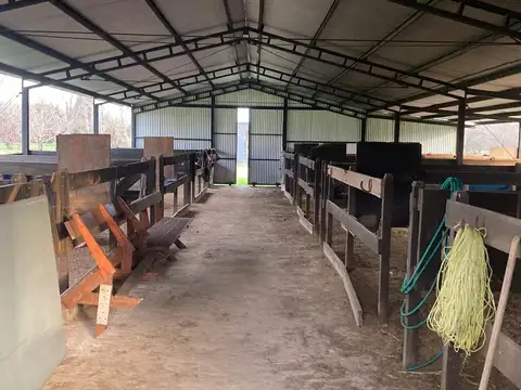Chacra en Alquiler 3 Ambientes en Open Door - Lujan