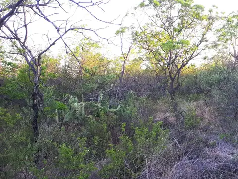 Terreno en Venta de 1925,0 m2