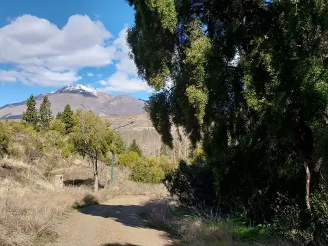 Oportunidad de negocio