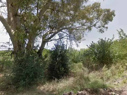 Terreno en venta - 61.920Mts2 - Lisandro Olmos