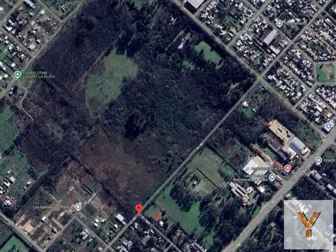 Terreno en Venta de 61920,0 m2