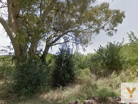 Terreno en venta - 61.920Mts2 - Lisandro Olmos