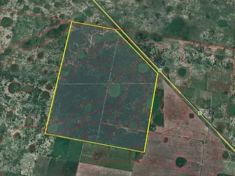 ALQUILER 700HA - CAMPO GANADERO EN ELISA