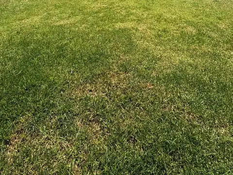 Depto Tipo Casa en Venta en Funes, USD 210.000