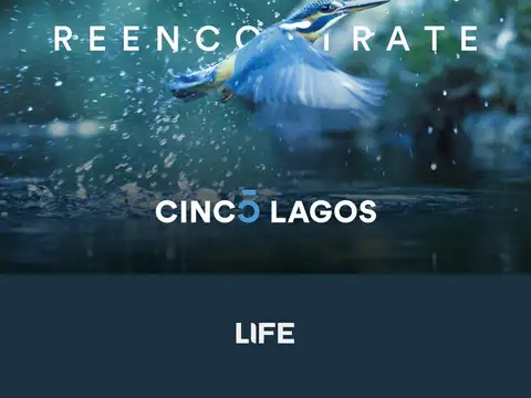 Terreno en Venta en Ibarlucea, USD 46.778