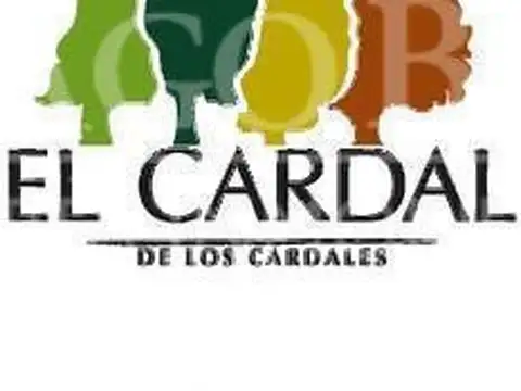 BARRIO EL CARDAL 100