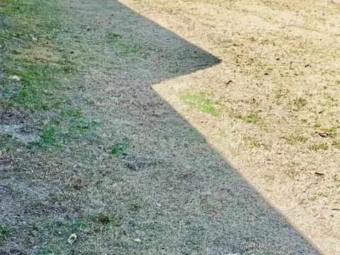 TERRENO EN VENTA EN EL BARRIO EL FLOREAL DE PLOTTIER