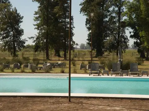 Ruta 6 km 142 100, Piso 0