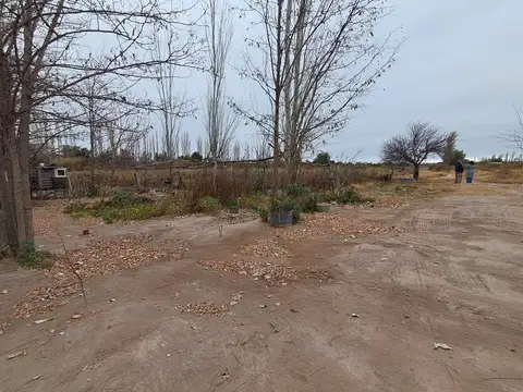 Terreno en Alquiler en Rivadavia, Mendoza