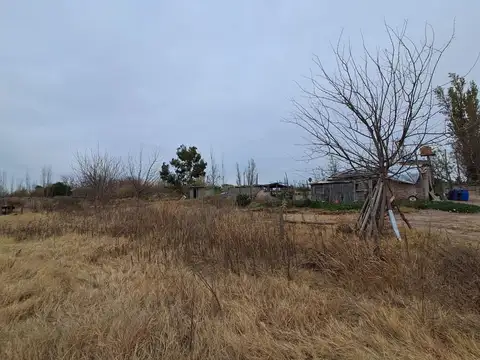 Terreno en Alquiler de 50000,0 m2