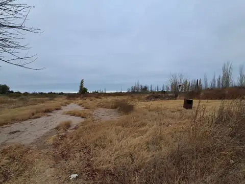 Terreno en Alquiler en Rivadavia, $ 1.500.000