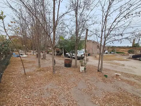 Terreno en Alquiler en Rivadavia, $ 1.500.000