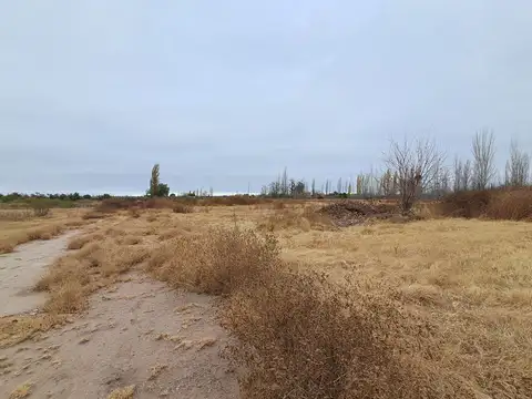 Alquiler Finca 50 hectareas en Rivadavia