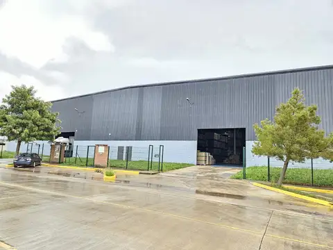 Galpon en Alquiler 65  mts Frente