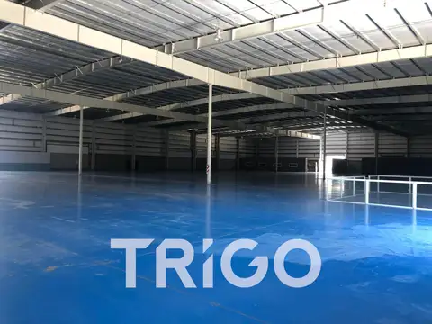 Galpon en Alquiler 96  mts Fondo