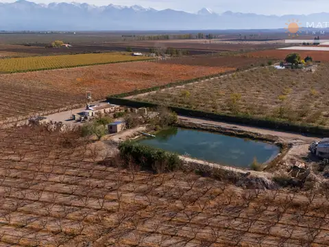 Finca en venta en Cordon De Plata
