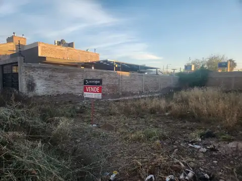 El Chañar 100