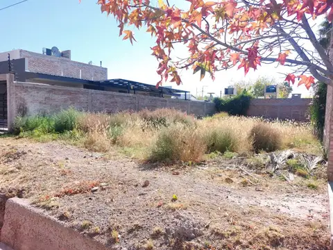 Lote en Venta B° Brisas del Parque, Maipú