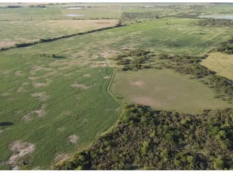 Campo mixto de 198 has, sexto Gualeguay