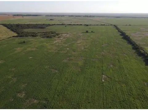 Campo en Venta en Gualeguay, Entre Ríos