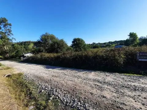 Los Olivares 400