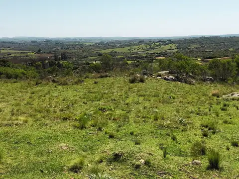 Chacra en venta en San Carlos, 6 hás con mejoras