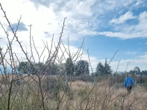 Terreno en Venta de 568,0 m2