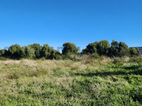 Terreno en Venta de 255,6 m2