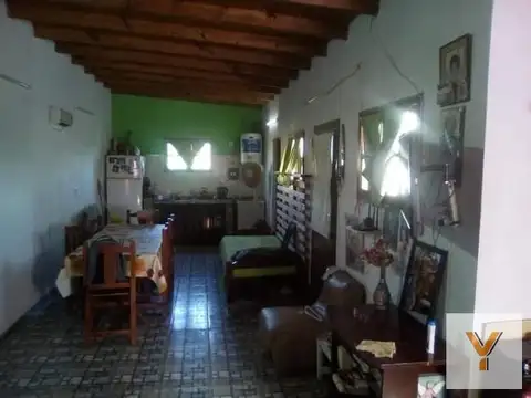 Las Camelias y Los Pensamientos