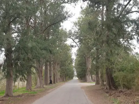Complejo Urbanístico Club Gimnasia y Esgrima de La Plata