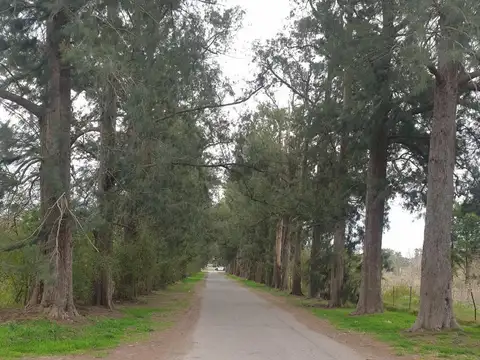 Terreno en Venta en Abasto, USD 20.000