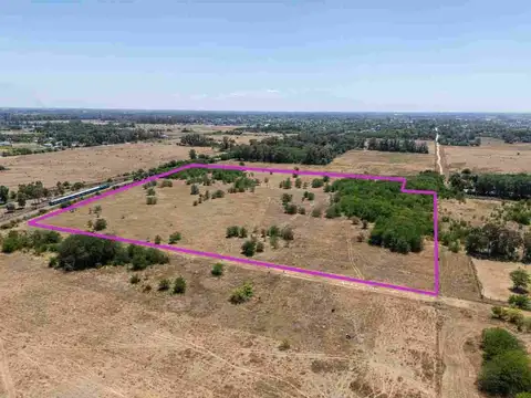 Terreno en Venta de 10000,0 m2