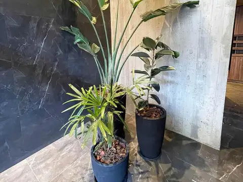 Departamento en Alquiler de 3 dormitorios