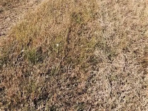 Terreno en Venta de 487,0 m2