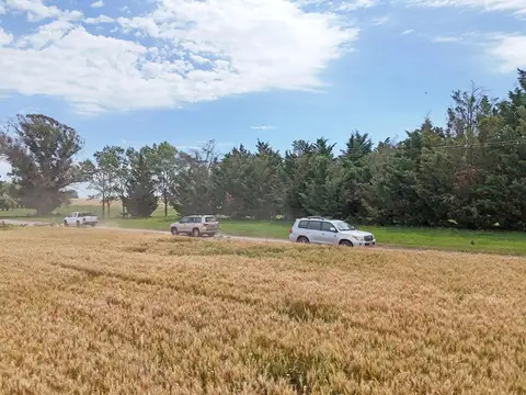 Necochea - 6000 has mixtas sobre ruta