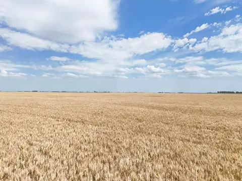 Necochea - 6000 has mixtas sobre ruta
