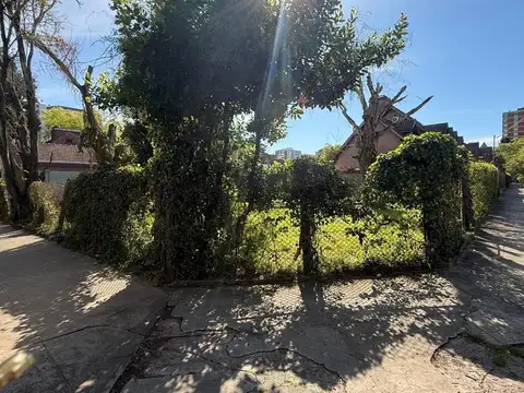 Terreno en Martinez vías a Libertador