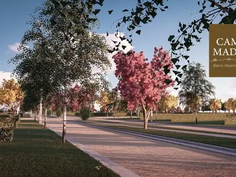 CAMPO MADERO LOTE 317M2