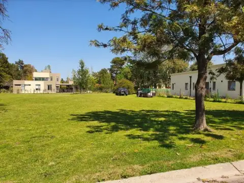 El Casco de Álvarez - Lote 53