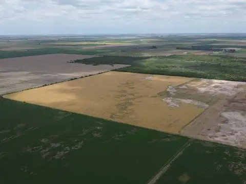 EN VENTA CAMPO 91 HAS. ZONA POZO DEL MOLLE. CBA.