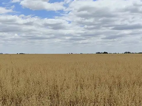 ZONA RURAL POZO DEL MOLLE.