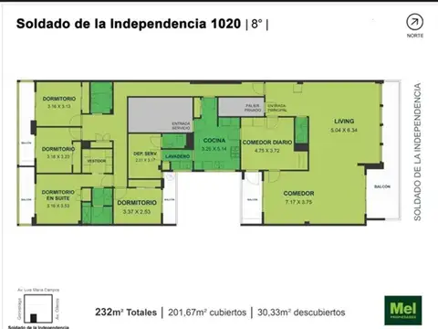 Soldado De La Independencia 1000