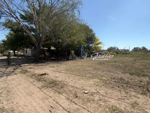 Campo en Ruta 6 km 100