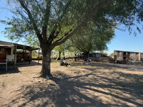 Campo en Ruta 6 km 100
