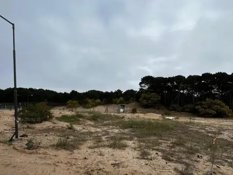 CUL DE SAC, LOS CALAMARES 2100