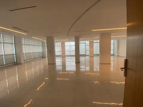 Carlos Pellegrini 300