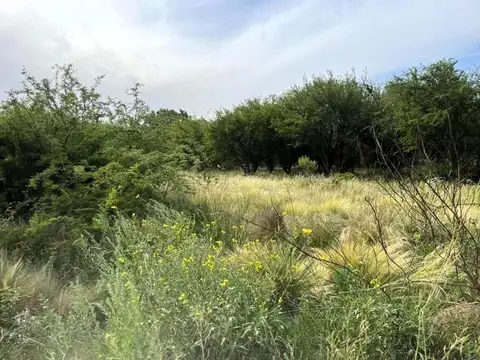 Terreno Pepitero 4537 e/ Siete Colores y Chingolo 