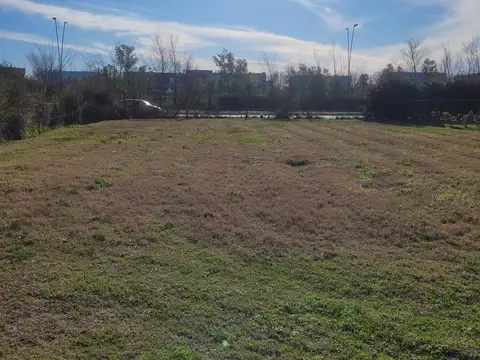 Acacias- Lote interno