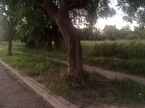 Se Vende Lote en Santo Tome  